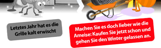 Machen Sie es doch lieber wie die Ameise: Kaufen Sie jetzt schon und gehen Sie den Winter gelassen an