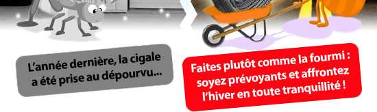 Faites comme la fourmi : soyez prévoyants