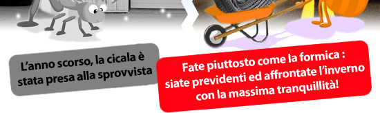 Fate piuttosto come la formica : siate previdenti